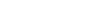 Excelsior Services Ltd